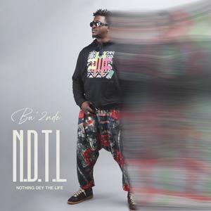 n.d.t.l (nothing dey the life)