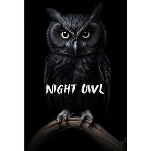 Night Owl (feat. Cassh Cartel, B blazo & Kingfrom98) [Explicit]