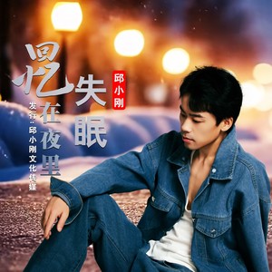 回忆在夜里失眠