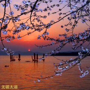 人间情多 (男声版)