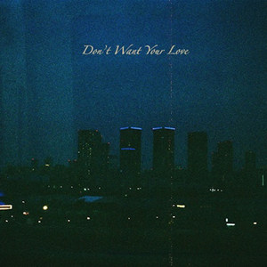 Don't Want Your Love