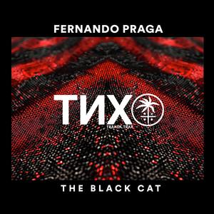 The Black Cat