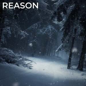 Reason