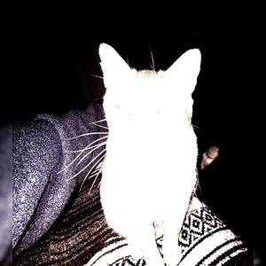 HATE YOU! (feat. Wikuro, D1na, Yancrak.01 & phant0m) (remix|Explicit)