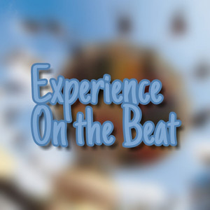 Experience on the Beat (feat. BiTT)