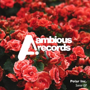 Sanie (Original Mix)