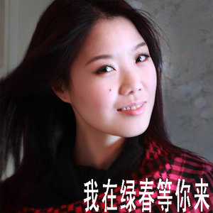 我在绿春等你来