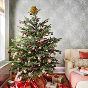 Supreme Allah - Merry Christmas Drake (feat. Mr. Hall)