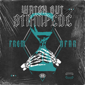 Watch Out Stampede - From Afar
