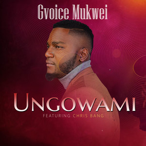 Ungowami
