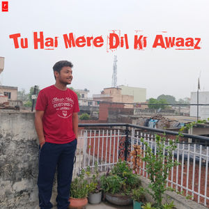 Tu Hai Mere Dil Ki Awaaz