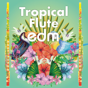 트로피칼 플릇 (Tropical Flute) (热带长笛 (Tropical Flute))