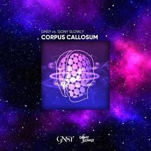 Corpus Callosum (Explicit)