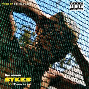 Sykes (feat. $miley Da Wiz) [Explicit]