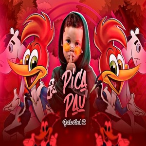 pica pau
