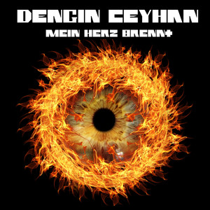Mein Herz Brennt (Arr. for Piano by Dengin Ceyhan)