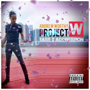 Project (W): Bass X Aggression [Explicit]