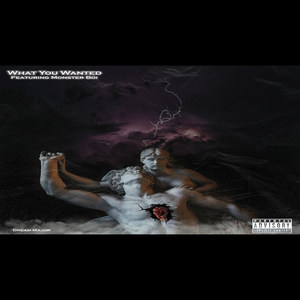 What You Wanted (Explicit)