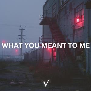 What You Meant To Me