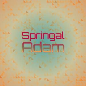 Springal Adam