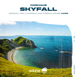 Skyfall (RNX Remix)