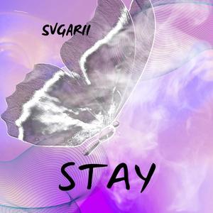 STAY