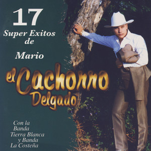 17 Super Exitos De Mario