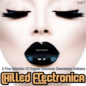 Chilled Electronica, Vol. 1 (A Fine Selection of Organic Electronic Downtempo Anthems)