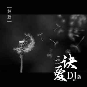 诀爱 (DJ版)