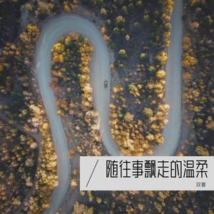 末路爱情中的孤独者封面