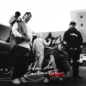 VIDA DE CANTANTE (Remix)