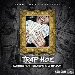 Trap Hoe (feat. Telly Mac & Lv tha Don) [Explicit]