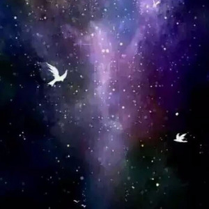 星辰 (Inst.)
