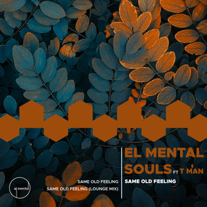 Same Old Feeling(feat. Tman) (Original Mix)