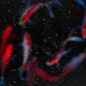 Water and Heat (feat. DuckTape Orchestra) (Explicit)