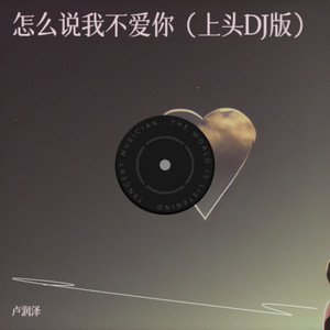卢润泽 - 怎么说我不爱你 (上头DJ版)