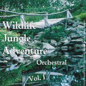 Wildlife / Jungle / Adventure; Orchestral - Vol. 1