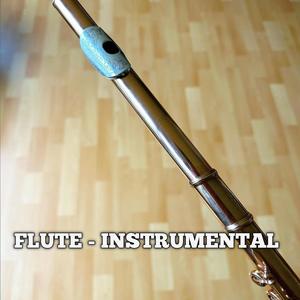 Zode Zode Falwa-Flute Cover By PKM KUMAR