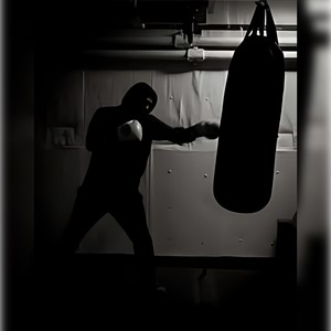 Blazing Pro (Version 2)