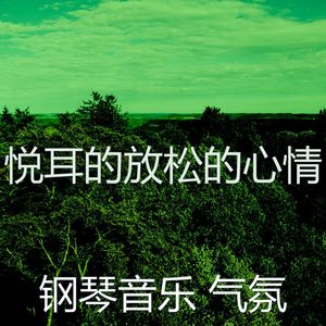 抚慰的养生回忆封面