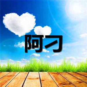 无悔这一生 (实惠版)