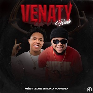 VENATY (Remix)