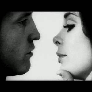 amapolas en invierno (Explicit)