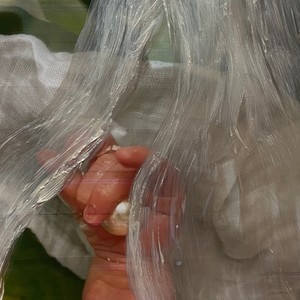 Bus(Baby & Us) (Alternative Version)