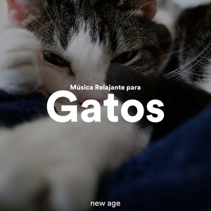 Música Relajante para Gatos