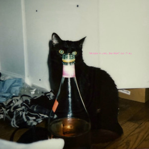 DON’T GET SO UPSET, WHAT’S NEXT?