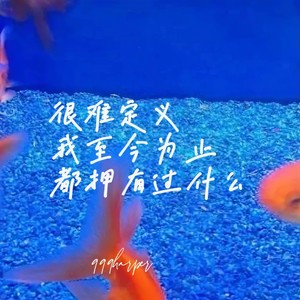 很难定义我至今为止都拥有过什么