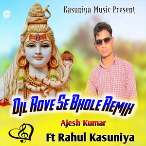 Dil Rove Se Bhole (Remix)