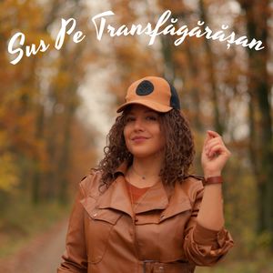 Sus pe Transfagarasan