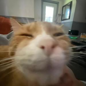 end(feat. Moodyriley & yarn)